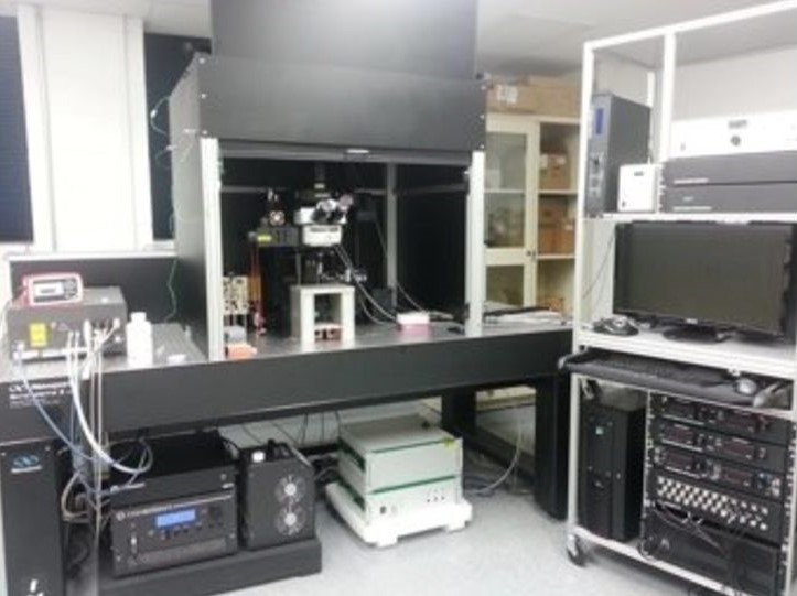 Prairie Technologies Ultima In Vivo Microscopy System