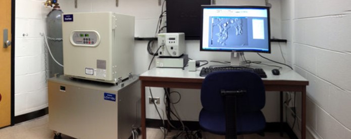 OLYMPUS VIVAVIEW INCUBATOR/FLUORESCENCE MICROSCOPE