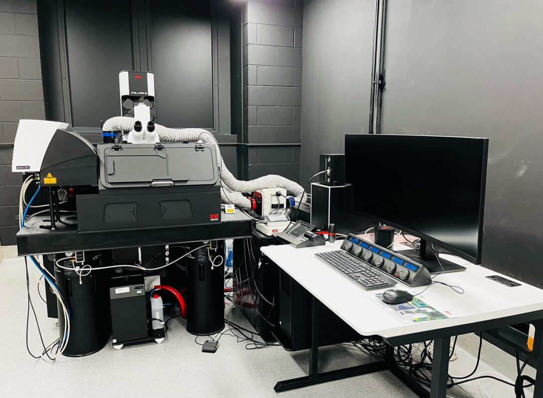 Leica Stellaris 8 Dive Multiphoton Microscope with Falcon